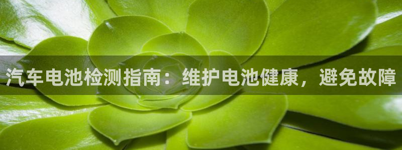 优发国际官方网手机版app