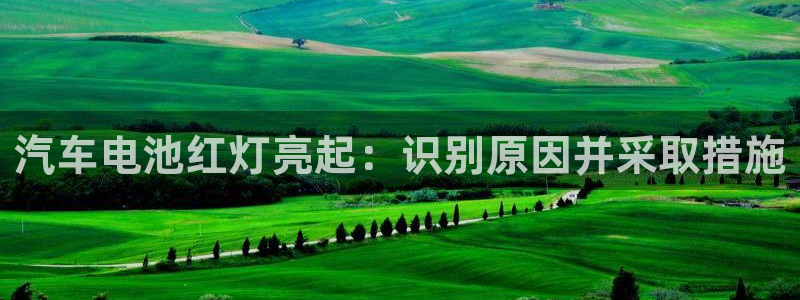 优发国际平台手机版下载安装