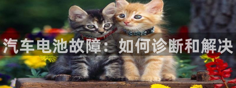 优发国际app