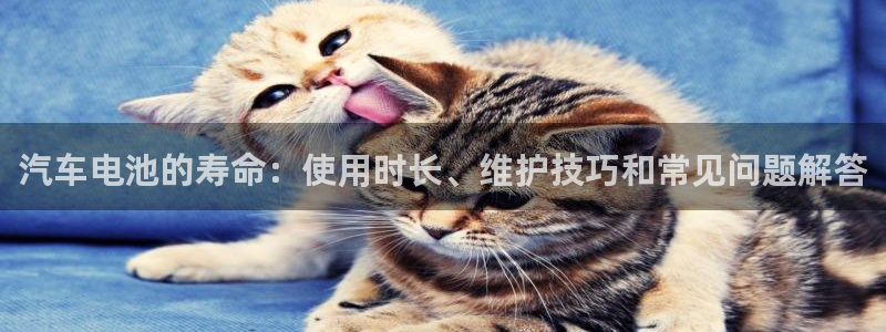 优发国际安卓版下载安装教程