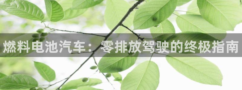 优发国际网站
