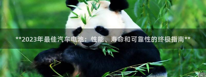 优发国际平台手机版下载官网
