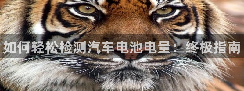 优发国际下载安装