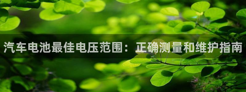 优发国际手机版下载
