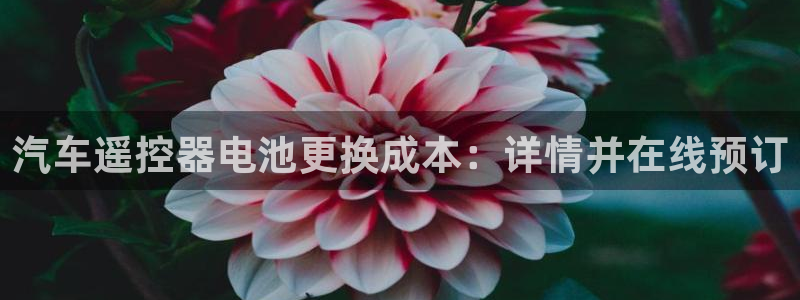 优发国际平台18岁能做吗