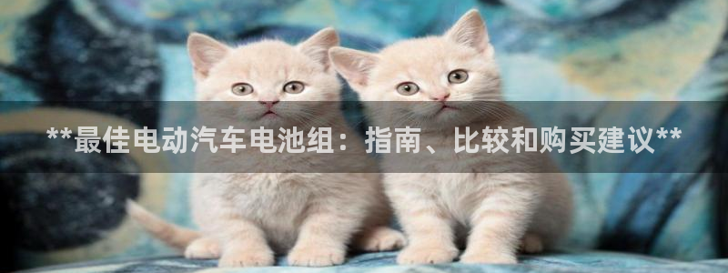 优发国际官网下载app