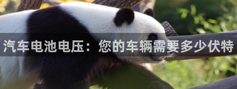 优发国际官网网站