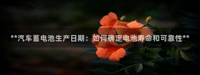 优发国际首页