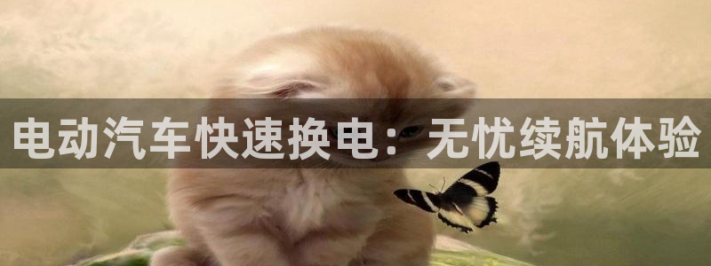 优发国际合并到哪里了
