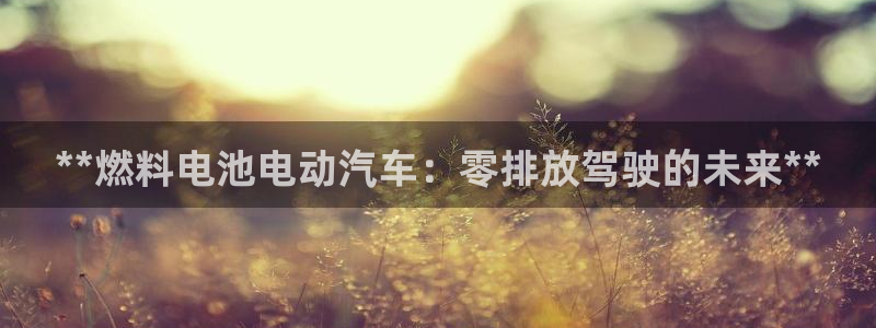 优发国际平台app下载