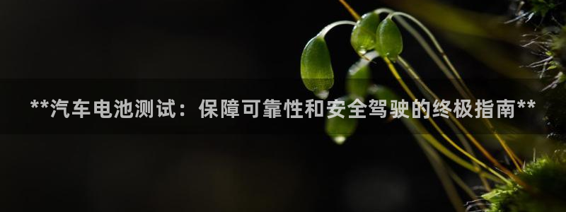 优发国际平台app下载苹果版