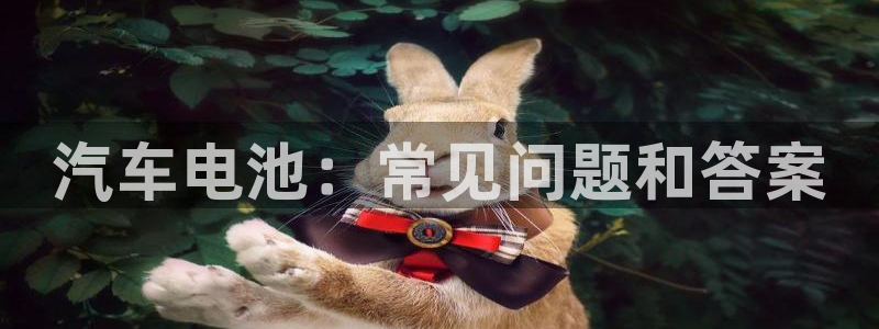 优发国际在哪里下载