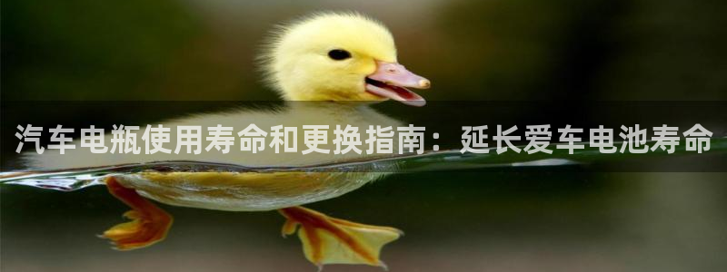 优发国际游戏n