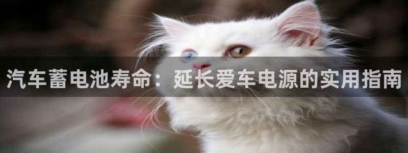 优发国际手机客户端下载