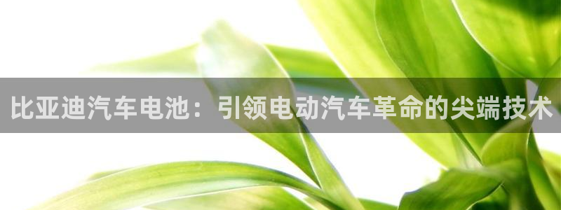 优发国际登录l8