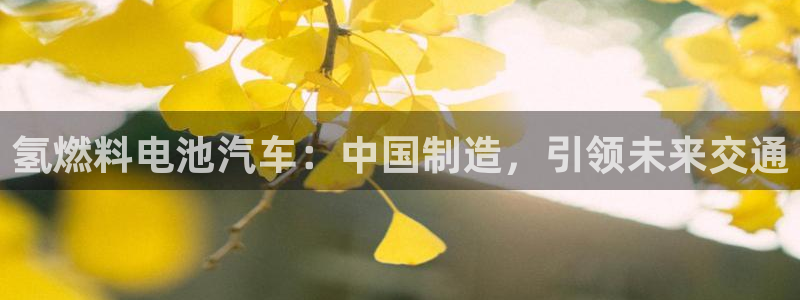 优发国际平台app下载安装