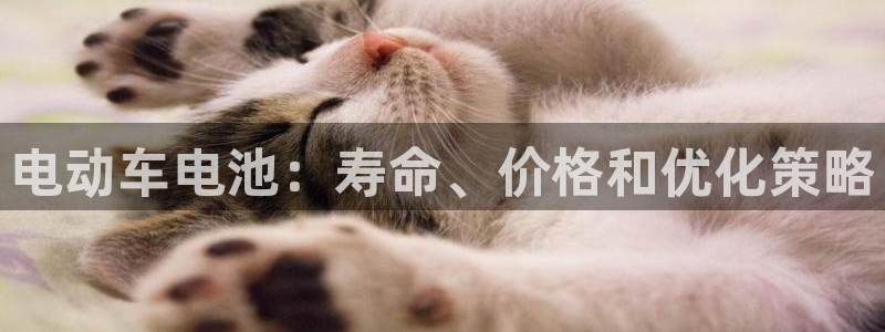 优发国际这个平台怎么样知乎