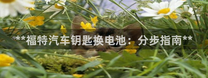 优发国际合并到哪里了