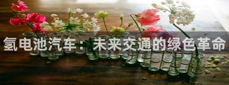优发国际app