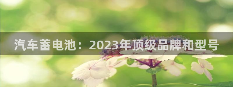 优发国际官网手机版app
