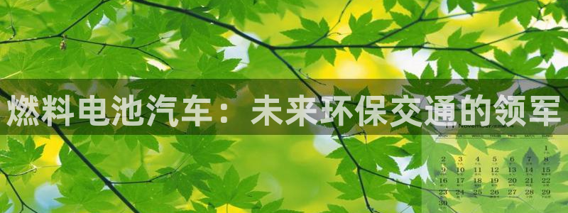 优发国际官网下载手机版