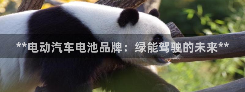 优发国际网官网17w8