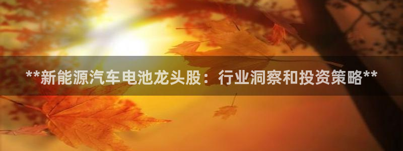 优发国际youfa