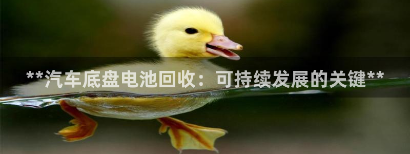 优发国际游戏网站