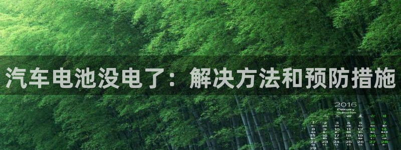 优发国际是大平台吗