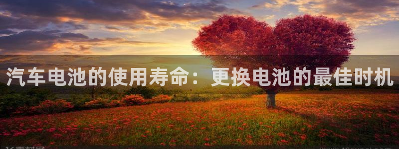 优发国际这个平台怎么样可靠吗