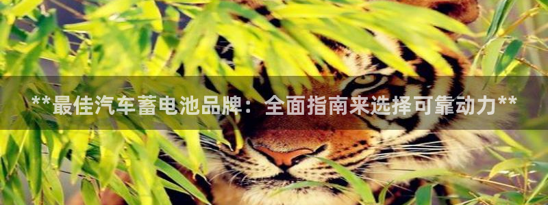 优发国际手机版客户端官网