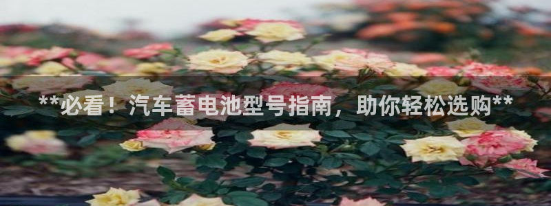 优发国际网站官网