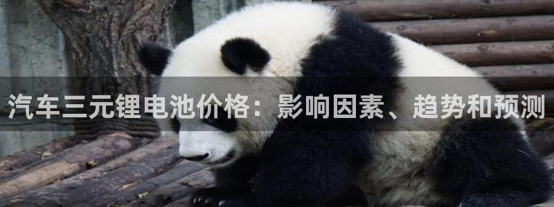 优发国际是大平台吗还是小平