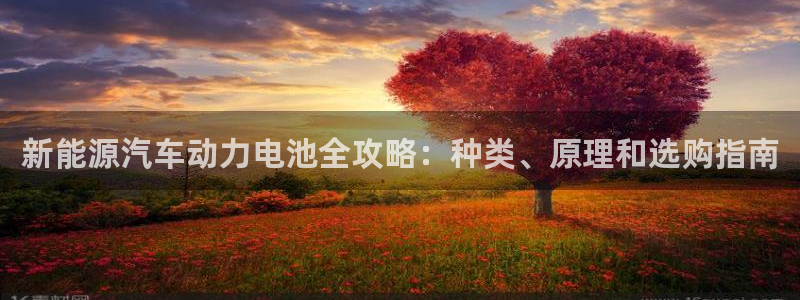 优发国际网官网17w8