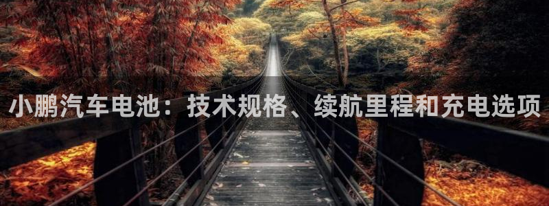 优发国际app登录