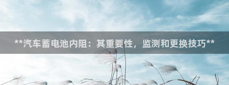 优发国际网站多少