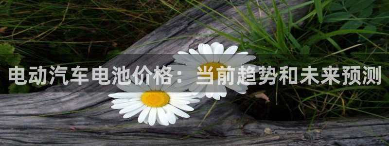 优发国际官方网平台