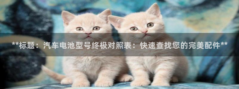 优发国际平台app下载安装