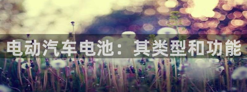 优发国际网官网