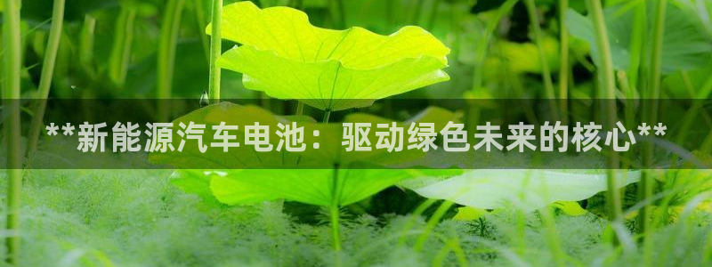 优发国际官网首页