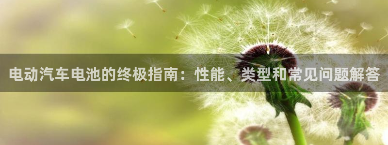 优发国际平台手机版下载安装