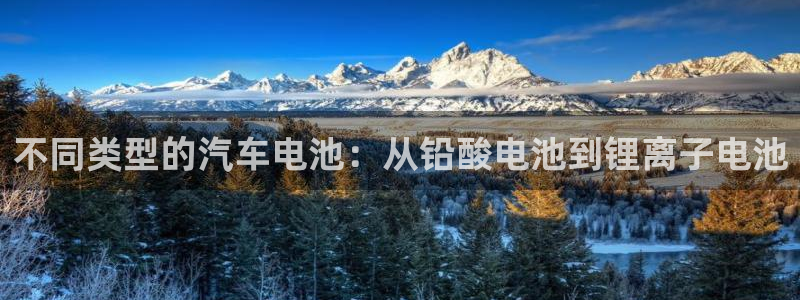 优发国际官网是多少号码