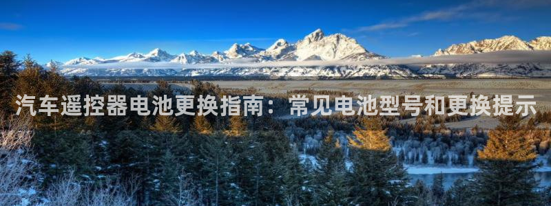 优发国际集团股份有限公司官网