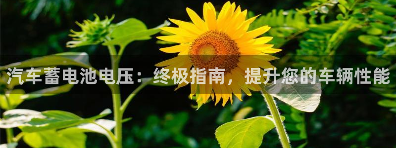 优发国际手机版唯一官网下载
