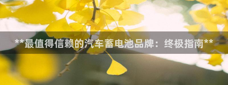 优发国际手机app下载安装官网