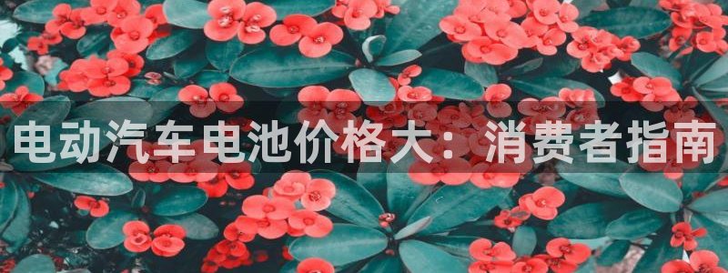 优发国际手机版官网