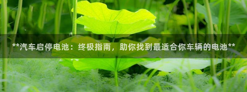 优发国际官网手机版下载安卓