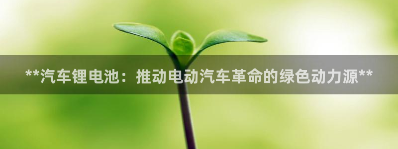 优发国际下载