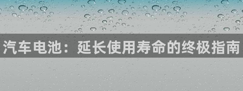 优发国际手机app下载安装最新版