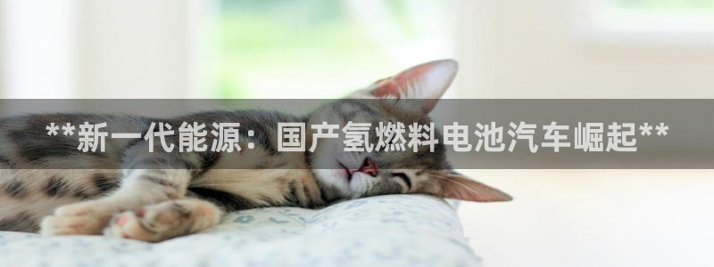 优发国际游戏网站